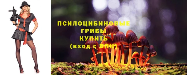 сатива Нефтегорск