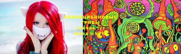 сатива Нефтегорск