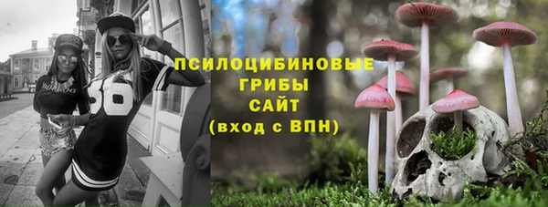 apvp Нефтекумск