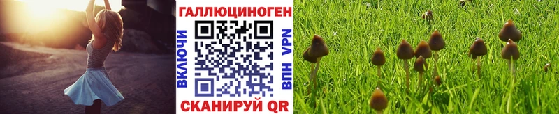Галлюциногенные грибы мухоморы  Оленегорск 