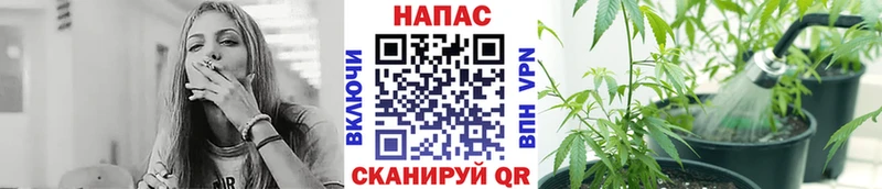 Конопля OG Kush  Оленегорск 